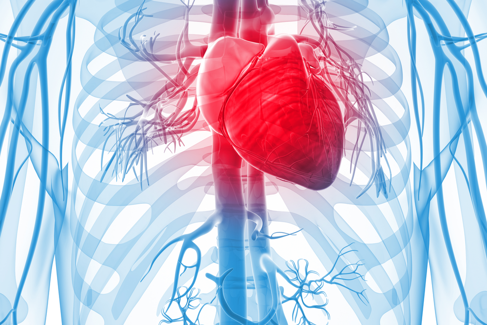 heart attack symptoms- what is a heart attack?